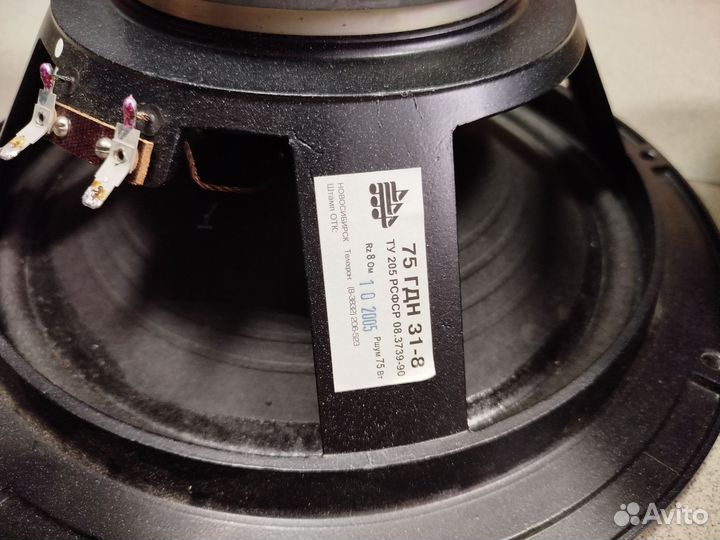 Динамики ноэма 75 гдн 31-8