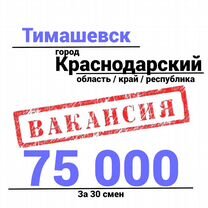 Упаковщик печенья / Вахта Тимашевск с питанием