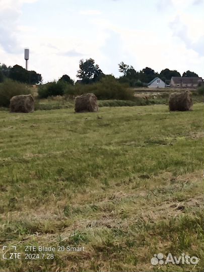 Сена в тюках