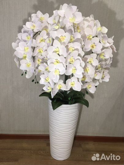 Орхидея