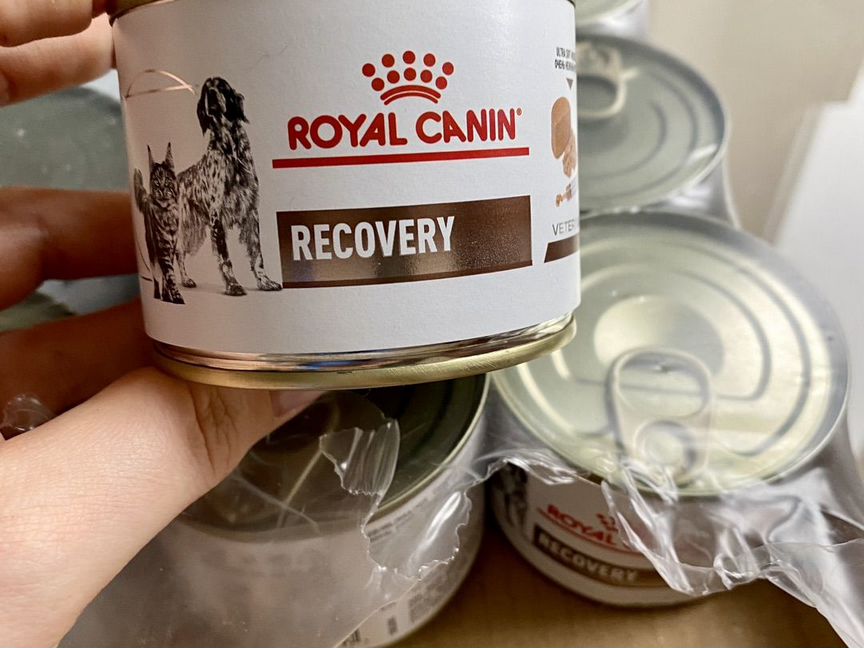 Корм для кошек royal canin recovery мусс