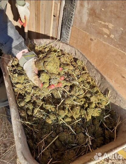 Навоз конский в мешках