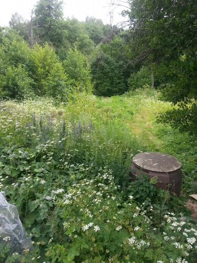 Участок 15 сот. (ИЖС)