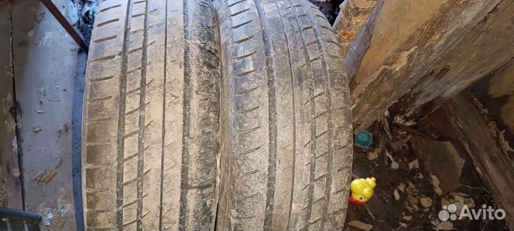 Evermax Active Cruise AF1 8.4/5 R5.5 19B