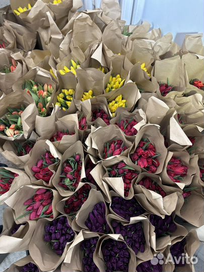 Тюльпаны к 8 марта