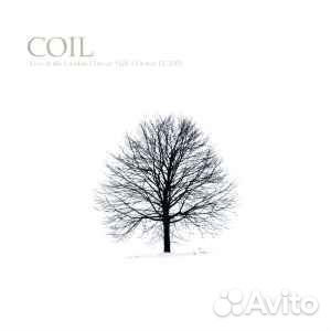 Coil Live AT The London Convay Hall,October 12,LP