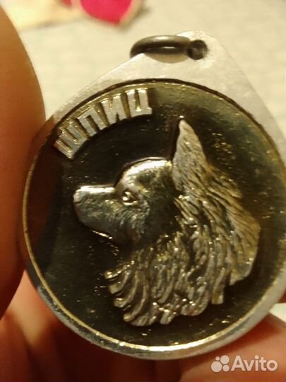 Жетоны, медали СССР для собак