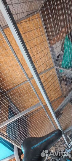 Клетка для птиц