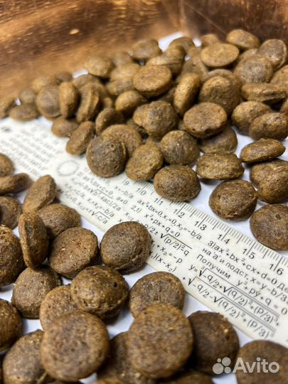 Сухой корм для собак крупных пород