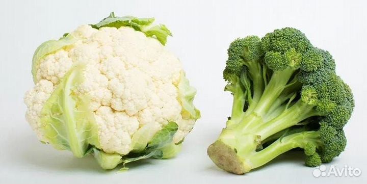 Капуста рассада