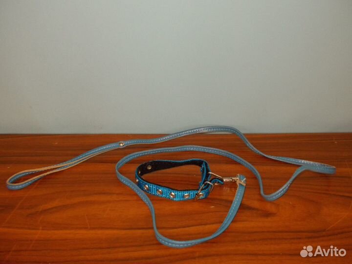 Ошейники, шлейки для собак