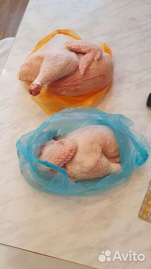 Мясо домашней курицы