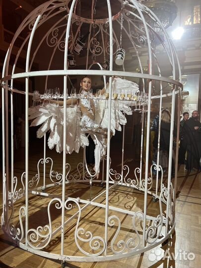 Девушка в клетке