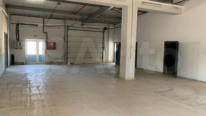Торговая площадь, 229.5 м²