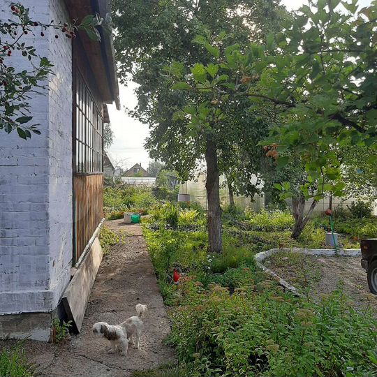 Дача 62,4 м² на участке 6 сот.