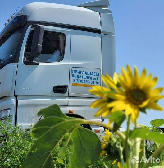 Требуется Водитель-Экспедитор