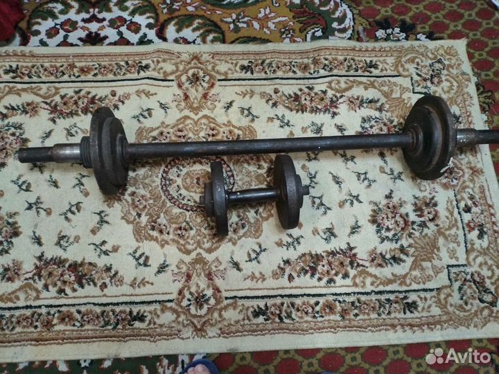 Штанга и гантеля
