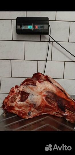 Корм для собак