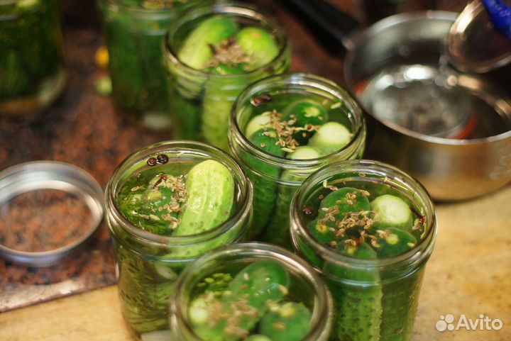 Варщик маринада. г.Волжский Вахта