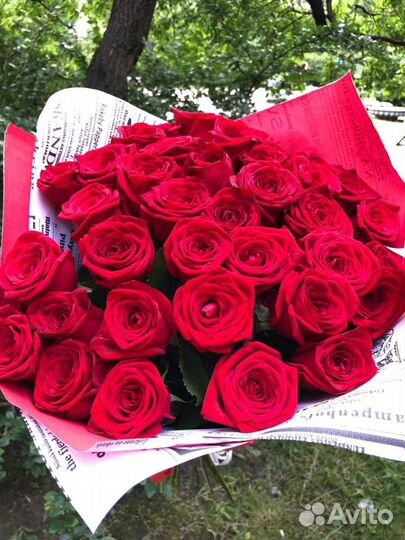 Розы 39 штук 50 см Эквадор
