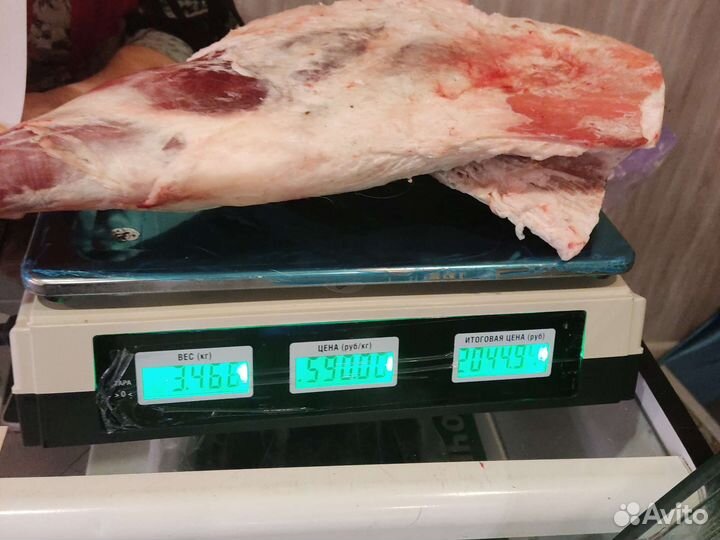 Продам мясо баранины, лошадей