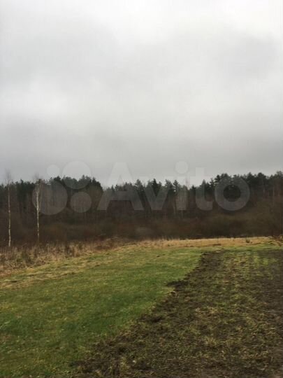 Участок 10 сот. (СНТ, ДНП)