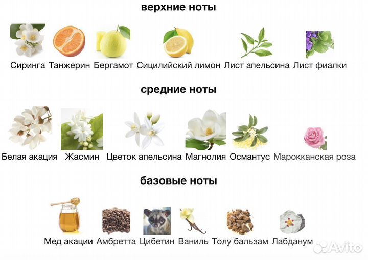 Духи унисекс Tom Ford Fleur De Portofino 100мл