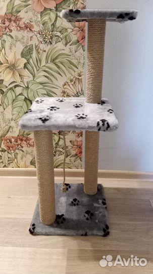 Когтеточка