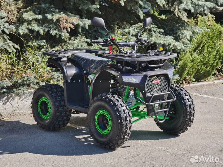 Квадроцикл rmoto Lion 125R Lite (110)