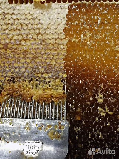Мед натуральный, подарочный мёд в спб. Качество