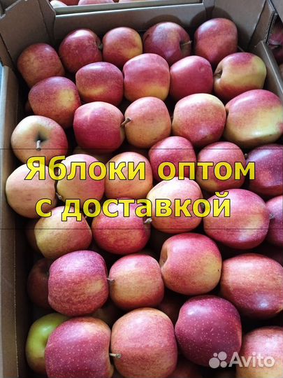 Яблоки оптом с доставкой