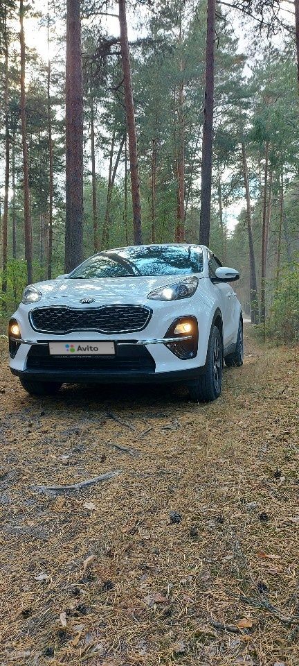 Kia Sportage: фото владельца