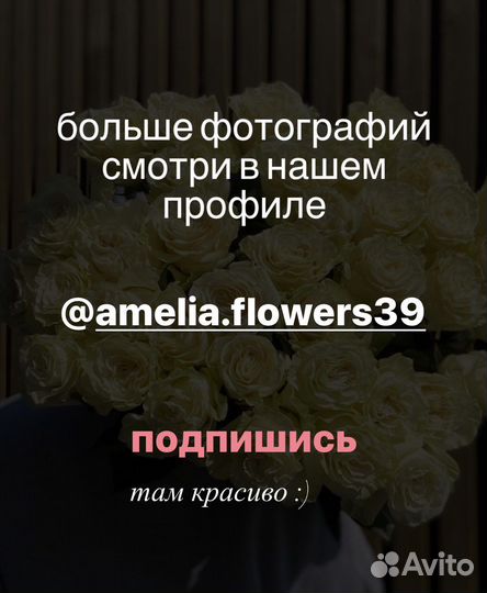 Букет роз Эквадор 60 см