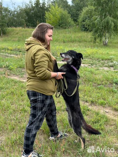 Старичок в добрые руки