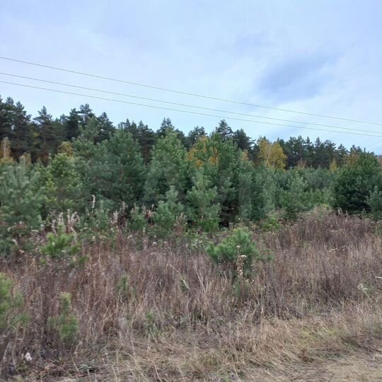 Участок 17 сот. (СНТ, ДНП)