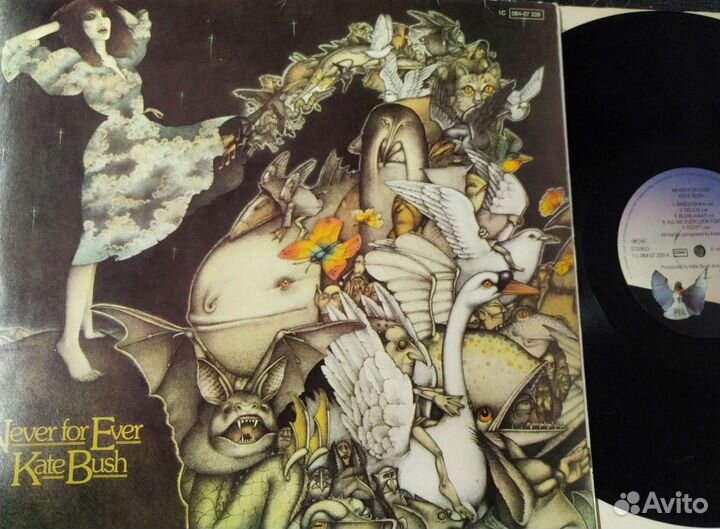 Kate Bush фирменный винил пластинки