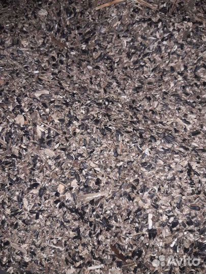 Корма отходы