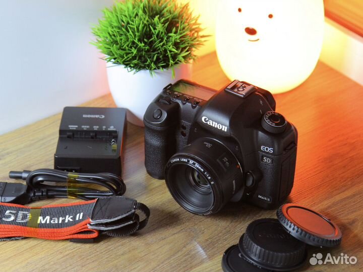 Canon 5D mark ii + объектив