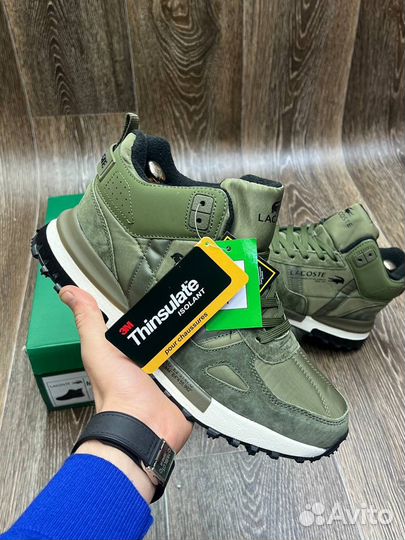 Lacoste