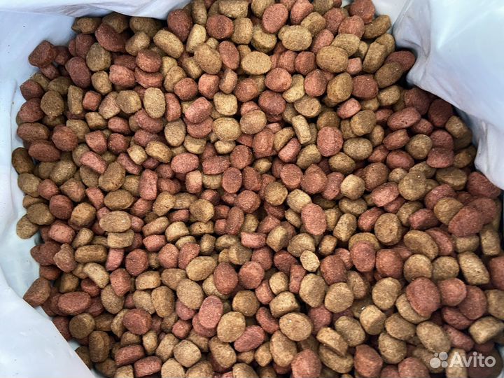 Собачий корм сухой в приют