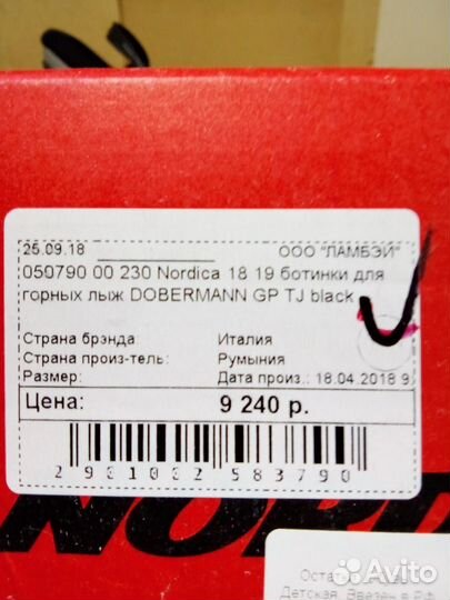 Горнолыжные ботинки