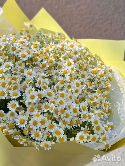 Ромашки Цветы с доставкой