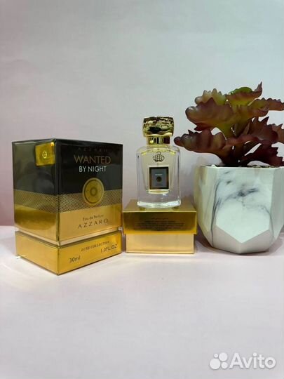 Azzaro wanted by night