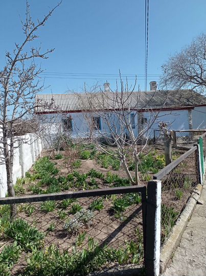 Дом 50,7 м² на участке 12 сот.