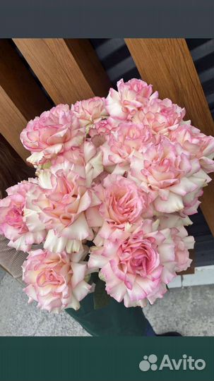 Французская роза