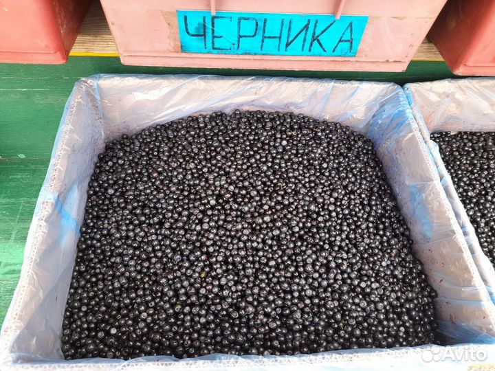 Клюква, брусника и др. ягоды