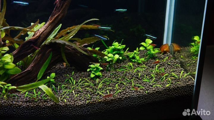 Грунт для аквариума / Аквагрунт