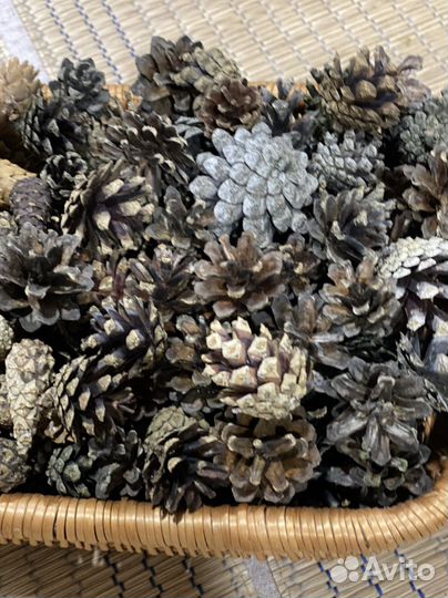 Шишки для декора