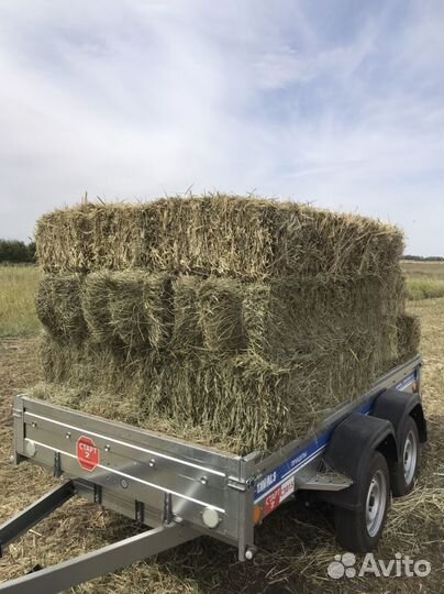 Продажа сена в тюках