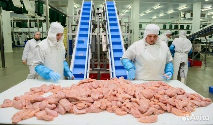 Разнорабочий на мясное производство(Вахта)